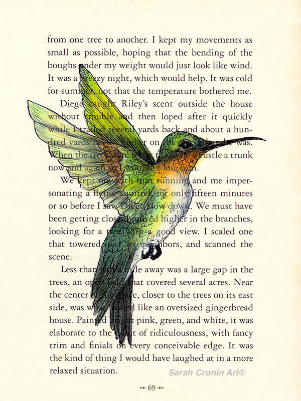 Hummingbird sketched in colour on a book page